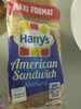 american sandwich nature - Producto
