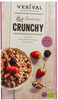 Granola Crunchy de Frutos do Bosque - Product