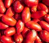Red Tomatoes - various varieties - Produit
