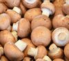 Mushroom, White Fresh - Produit