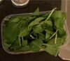 Spinach - Producto