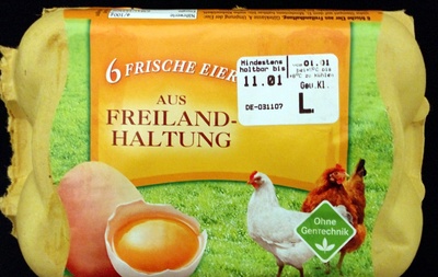 6 Frische Eier aus Freilandhaltung Güteklasse A - Product - de