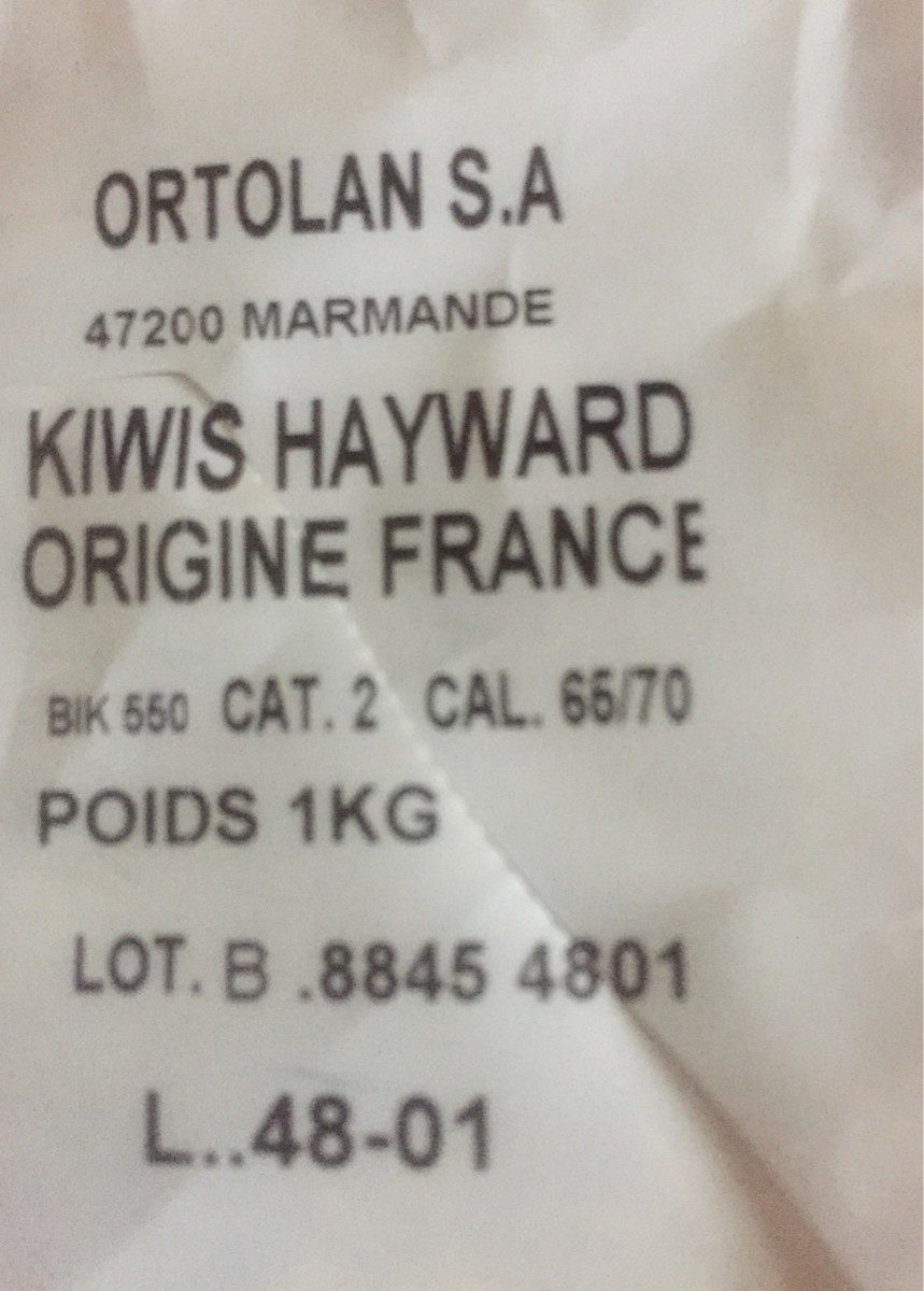 Kiwi hayward - Product - fr