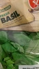 fresh basil - Product