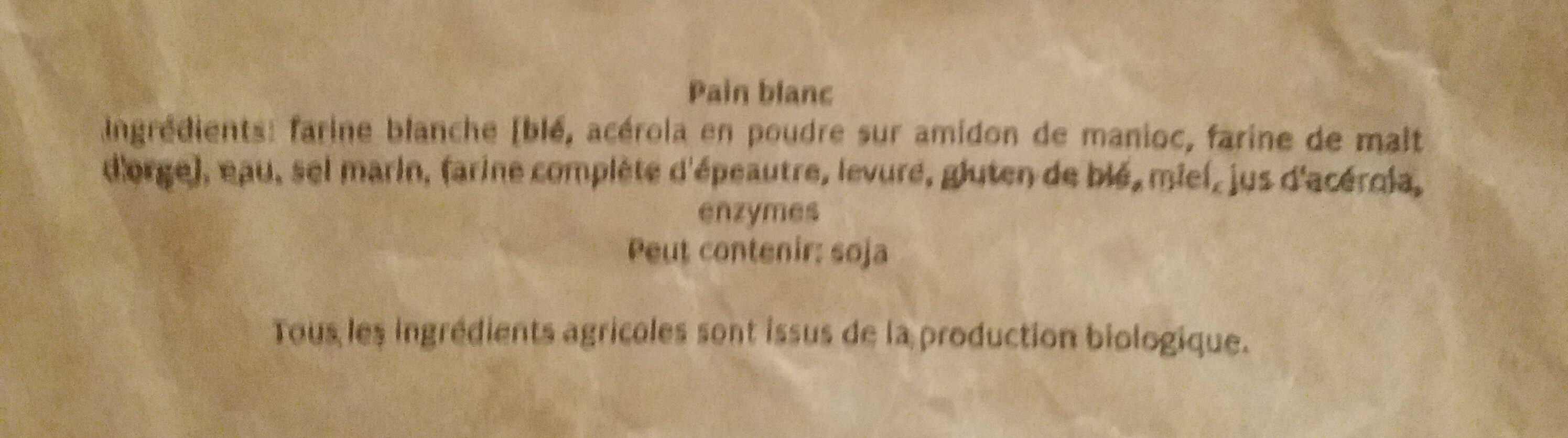 Pain bio - Ingredienti - fr