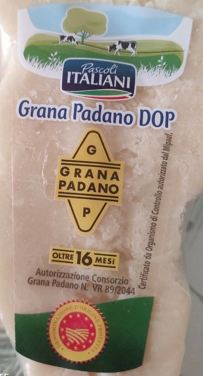 Grana Padano DOP - Product - it