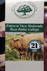 Entrecot vaca madurada raza rubia gallega - Product