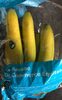 Bananes - Produit