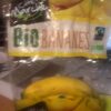 Bananes cavendish bio - Product