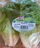 Organic Lettuce - Product