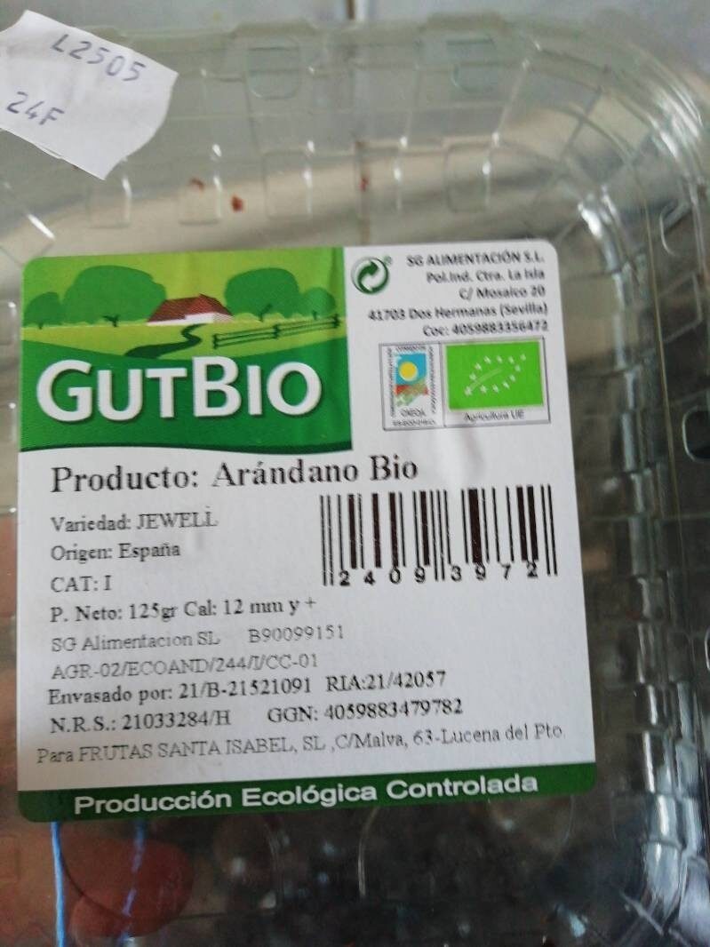 Arándano bio - Producte - es