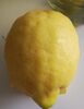 citron - Product