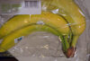 Bananes Bio Cavendish - نتاج