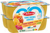 MATERNE (Sans sucres ajoutés) Pomme/Pomme Poire/Pomme Framboise/Pomme Pêche Abricot 12x100g - Produkt