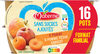 MATERNE (Sans sucres ajoutés) Pomme/Pomme Pêche Abricot  Format Familial - Product