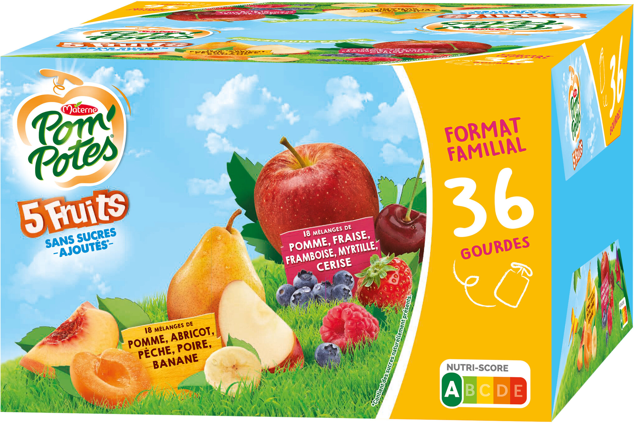 POM'POTES Compotes Gourdes 5 Fruits Rouges & Jaunes 36x90g Format Familial - Produkt - fr