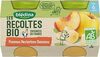 Compote Pommes Nectarines Bananes - Produkt