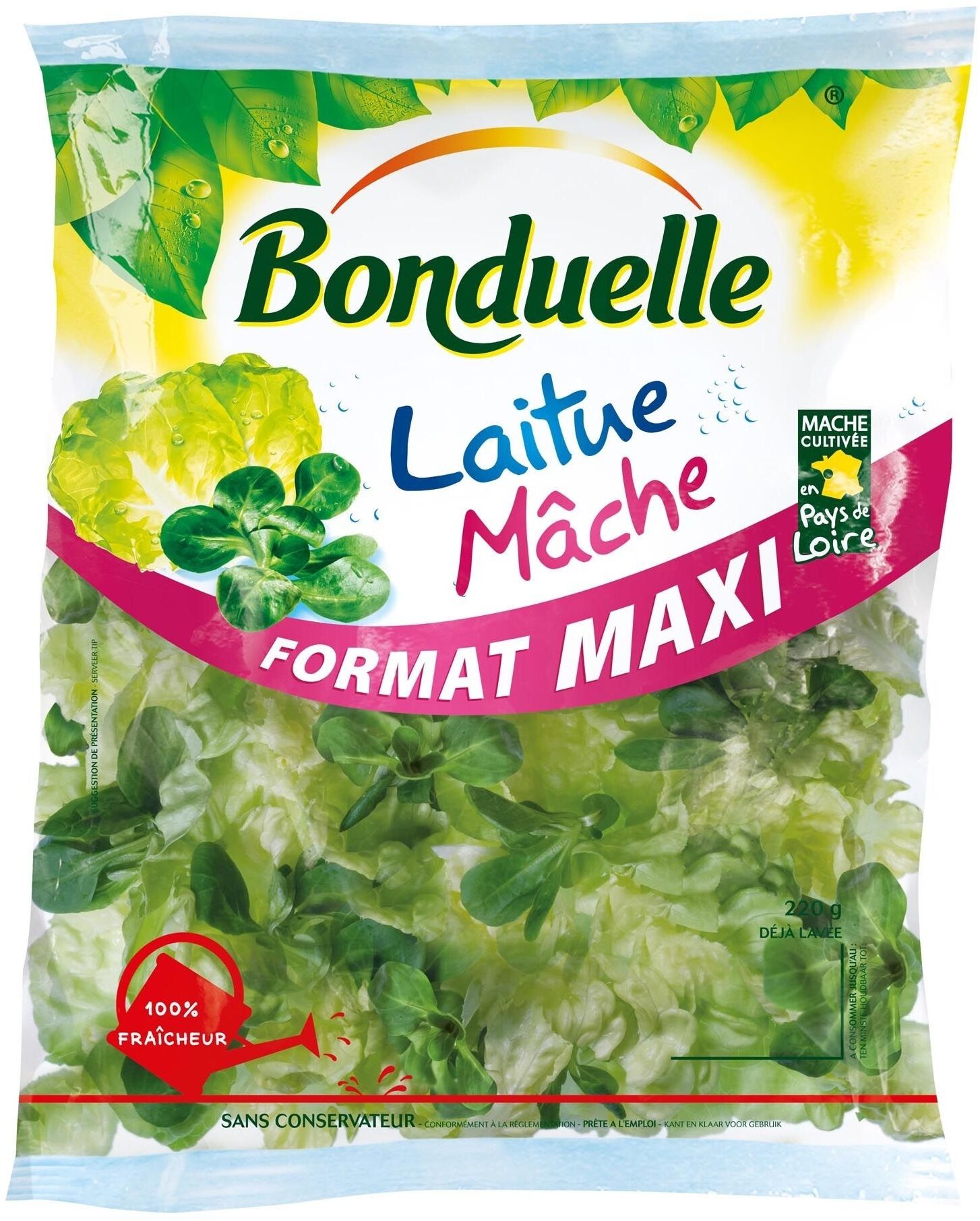 Laitue & Mâche - Produkt - fr