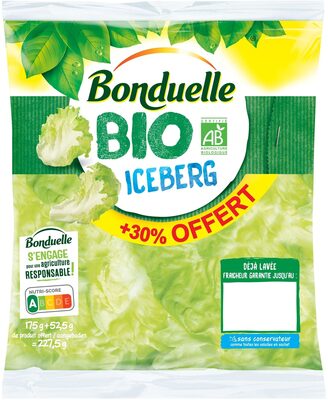 Iceberg BIO 175g+30% - Product - fr