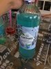 Giffard Mint Icy (menthe Glaciale) Sirup Maxi - Product
