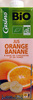 Jus Orange Banane à base de concentré et de purée - Product