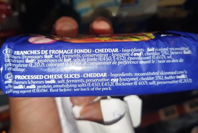 F.fondu Hamburger - Ingrediënten - fr