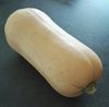 Courge Butternut - Product