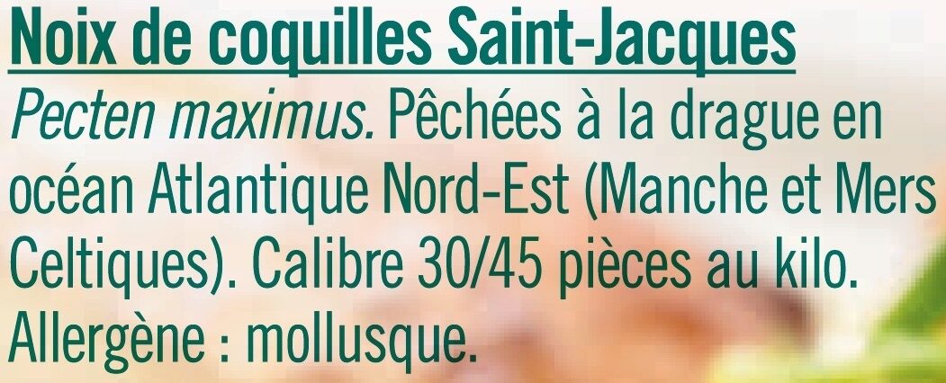 Noix de St Jacques, Pecten Maximus - Ingrédients
