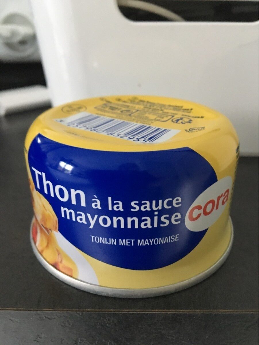 Thon mayonnaise - Product - fr