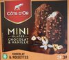 Mini glaces chocolat et vanille - Produit