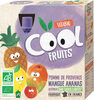 Cool Fruits Pomme Mangue Ananas - Product