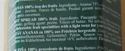 Ananas cuit au chaudron - Ingrediënten - fr