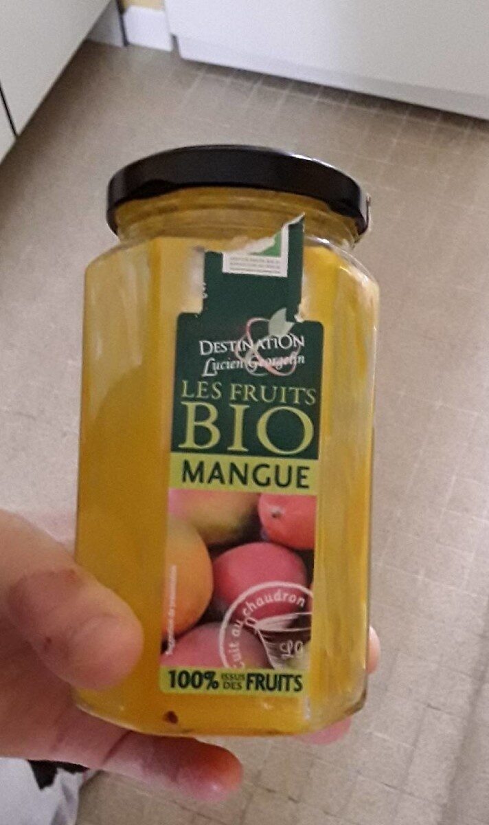 Les fruits bio Mangue - Produit