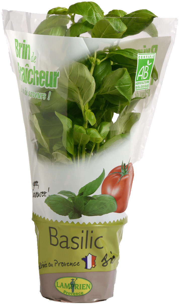 Basilic en pot - Recycling instructions and/or packaging information - fr