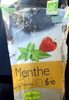 Menthe - Product