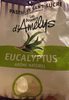 Pastilles sans sucre Eucalyptus - Product