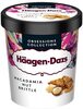 Häagen-Dazs Macadamia Nut Brittle Pint - Product