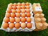 Gros oeufs Bio Breizh'on egg - Product
