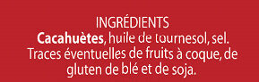 Cacahuètes grillées salées - Ingredients - fr
