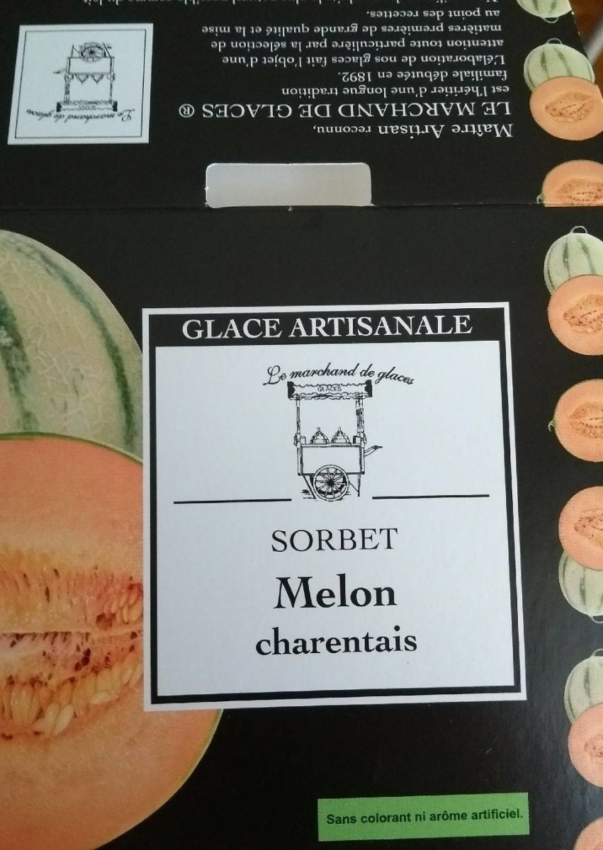 Sorbet Melon Charantais - Product - fr