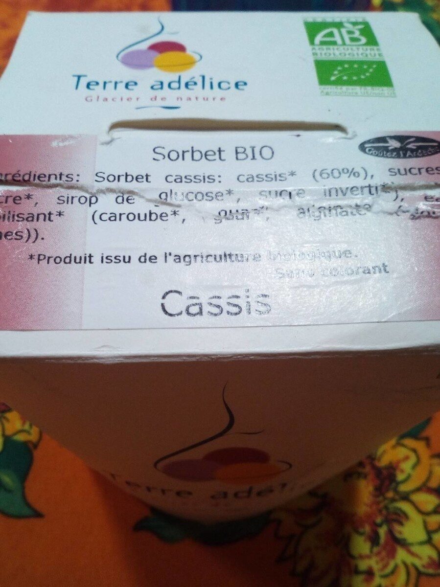 Sorbet cassis - Product - fr