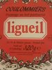 Coulommiers 20.5% M.G. - Product