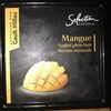 Mangue sorbet plein fruit - Product