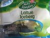 Laitue iceberg - Product