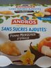 Andros compote pommes morceaux et vanille - Product