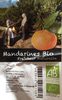 Mandarine Bio - Product