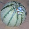 MELON Melon Charentais pièce - Product