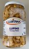 Lupins - Product
