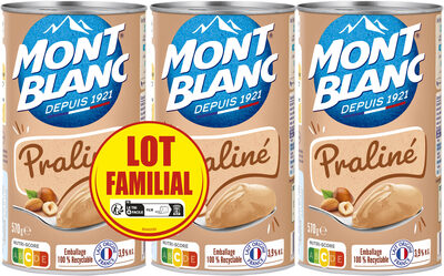 MONT BLANC Crème dessert Boîte Praliné 3x570g Lot Familial - Produit