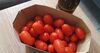 Tomates - Product